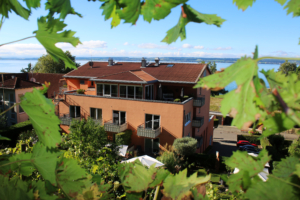 Haus 23
